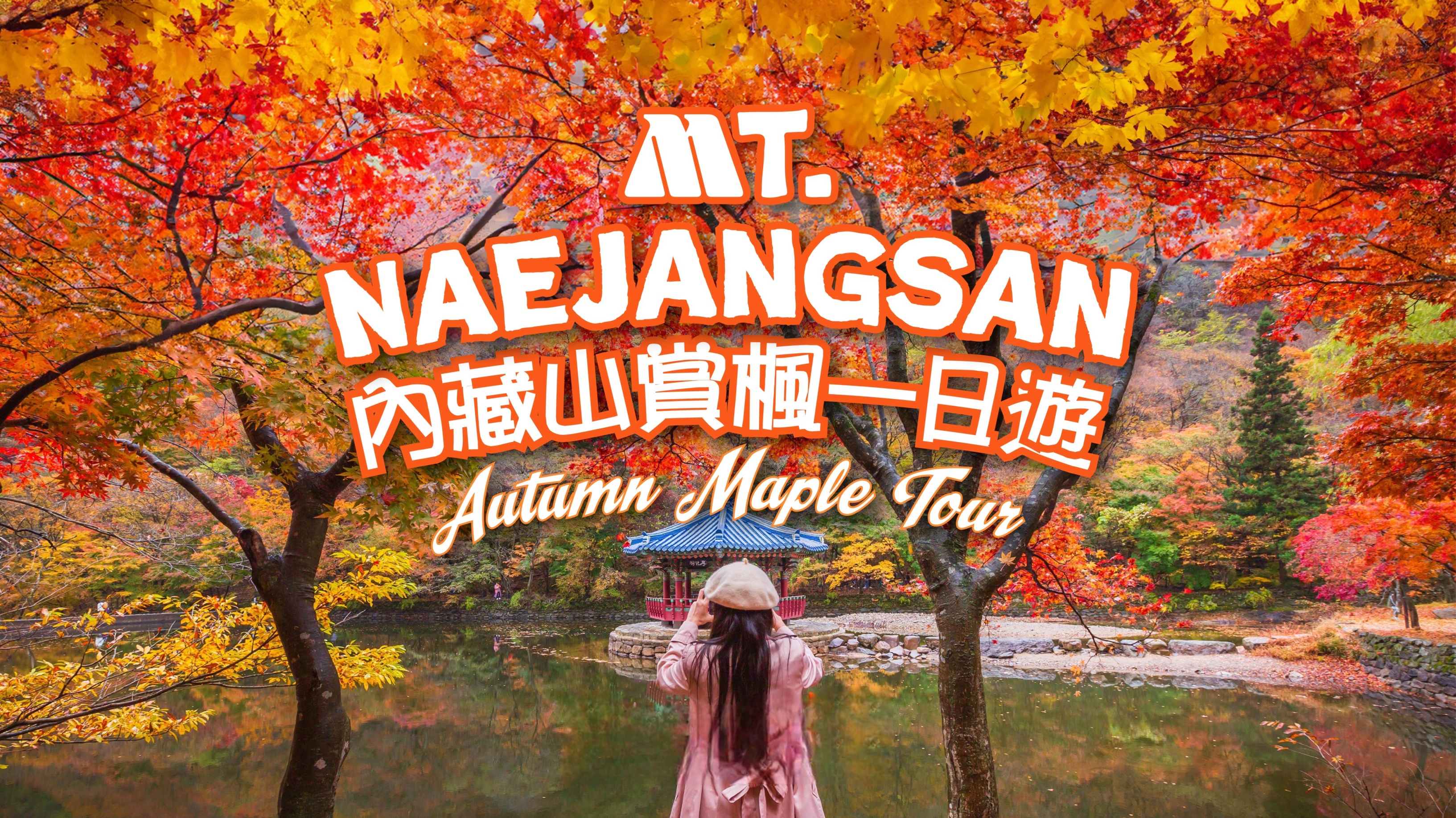 Naejangsan National Park Autumn Foliage One Day Tour (from Seoul) - Photo 1 of 10